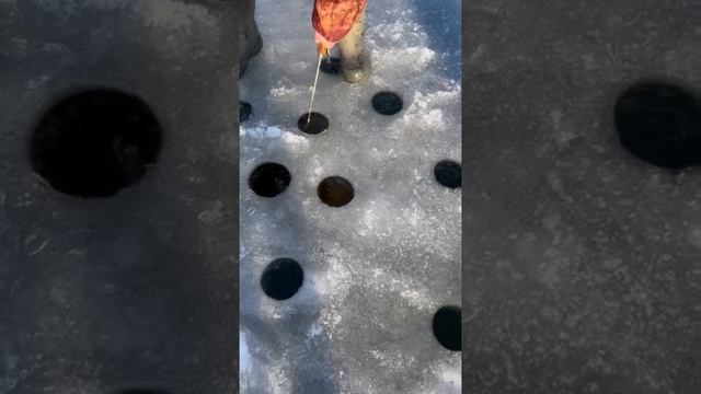 На зимней рыбалке попался сом на удочку! 👇👇👇Не вылазиет в лунку! 2024👍👍