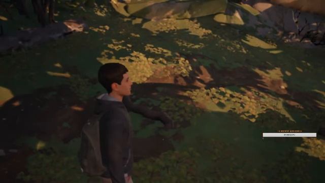 NiksonGames - life is strange 2 начало #1