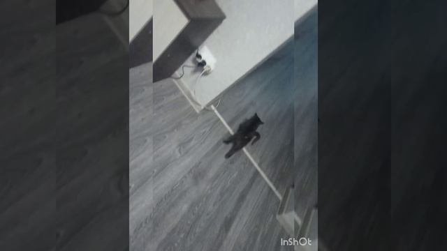 каспер
