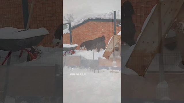 Зима в сердце