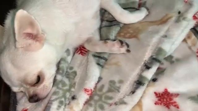 Всем самого доброго вечера и прекрасных снов.