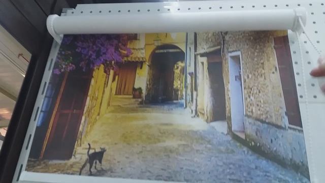 Графические рулонные шторы 2