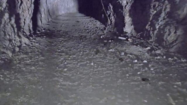 Кольсайские озёра. Озеро Каинды. Затонувший лес Кольсай.Kolsay lakes. 6 апреля 2024