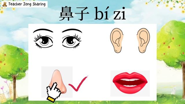 华文 ｜ 身体部位 ｜我的身体 ｜ 学前教育班 Prasekolah SJKC (720p)