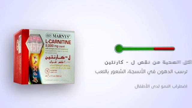 L - Carnitine Fat burner Suppliments  | Marnys