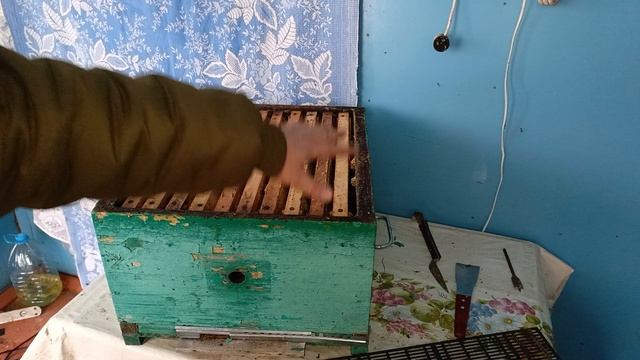 сколько матке нужно места?