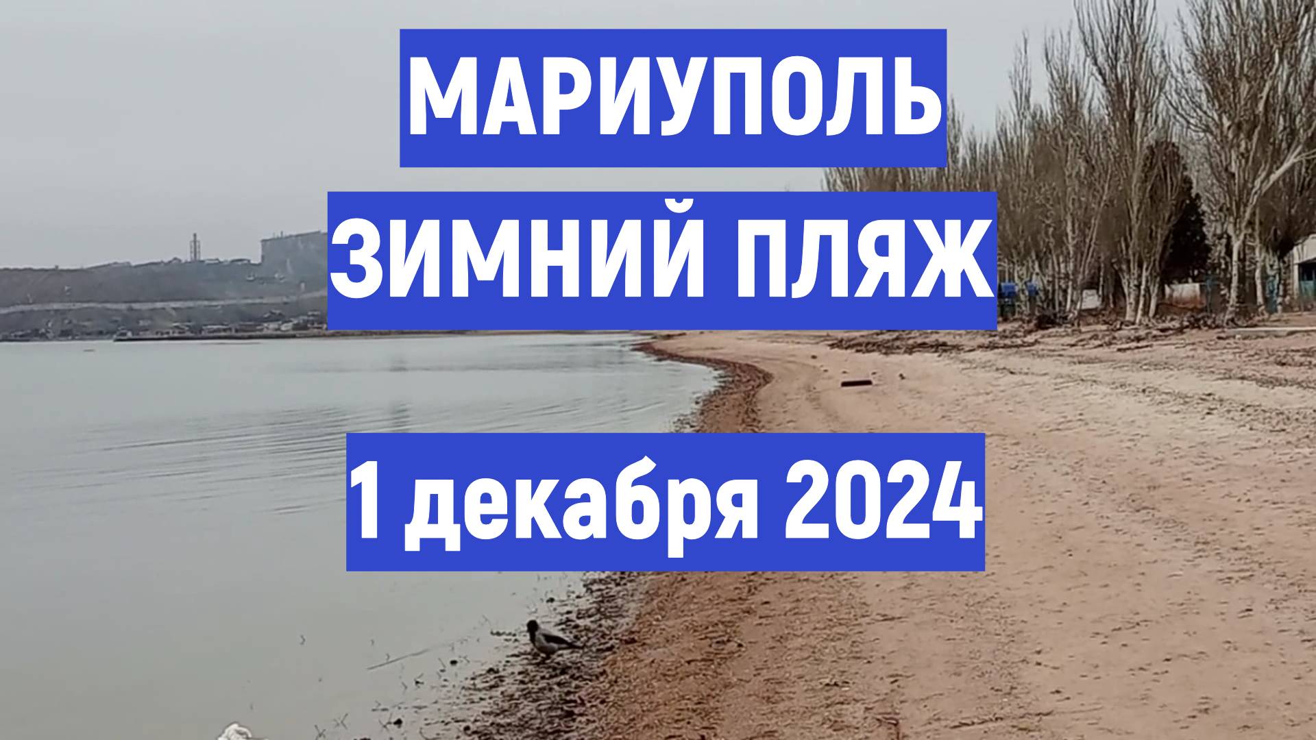 Зимний пляж Левобережный 1 декабря 2024