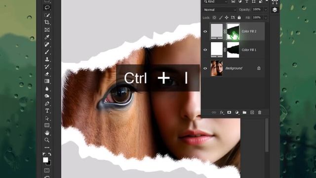 Photoshop 12.