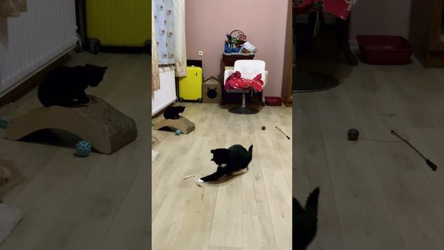 ззззззъъъъъъъъзззззз