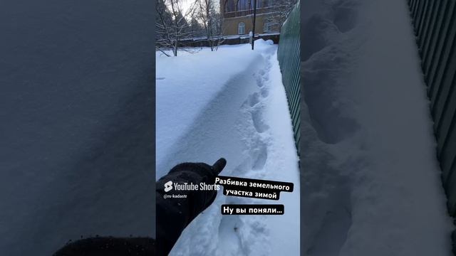 Разбивка земельного участка зимой ВОЗМОЖНА, но нужно хорошо очистить снег #shorts