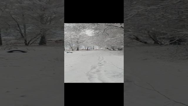1000007919.mp4