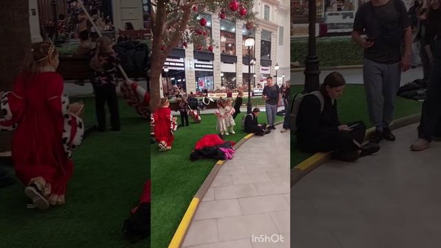 InShot_20241222_094413936.mp4