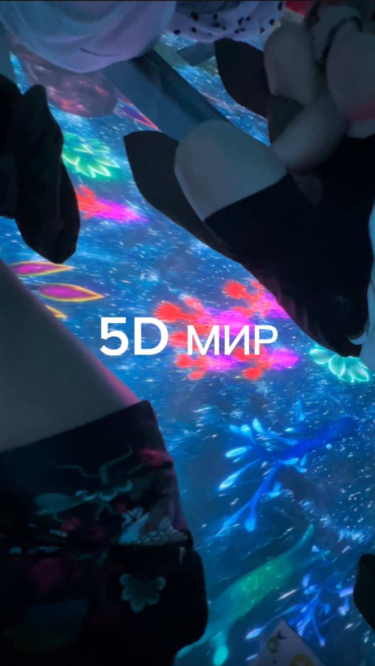 5D МИР