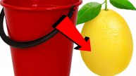 Как подкормить лимон За 3 Секунды