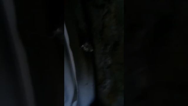 Аууууууудюха), скатиняка ты такая...