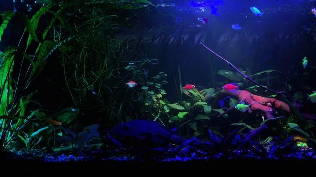 АНГЕЛЬСКАЯ ЧАСТОТА ОБДУВАЕТ ВЕТЕРКОМ ЗАБОТЫ | МЕДИТАТИВНАЯ МУЗЫКА