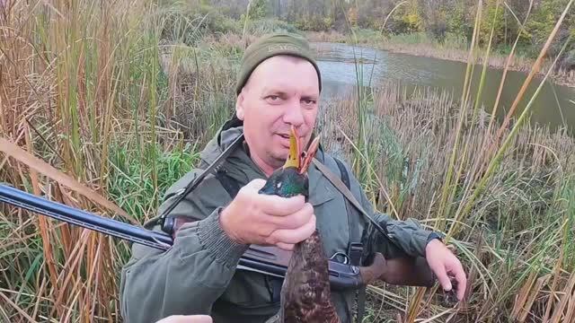 Открыли сезон охоты на куропатку.