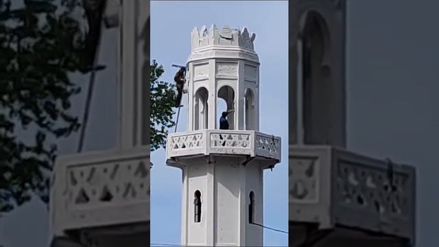 Набережная Агудзеры в Абхазии