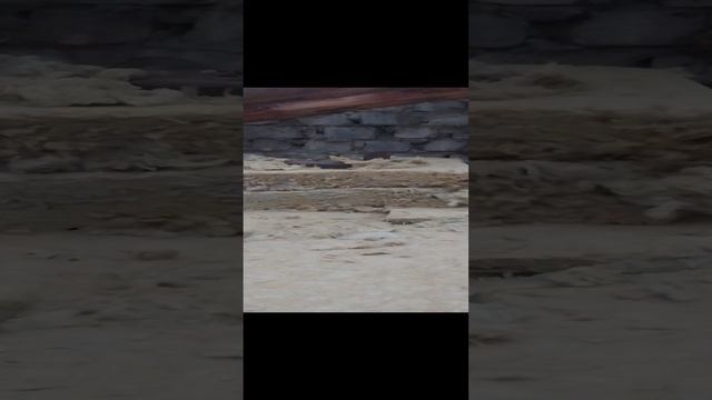 22-12-2024г