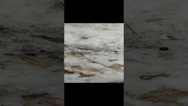Порубас #32 22.12.24 (Кузьминки) я, Зина