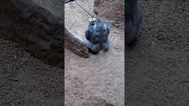 Шепоток...