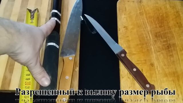 КАК ОБОЙТИ ЗАКОН О РЫБАЛКЕ 2019 С ПОМОЩЬЮ КОПЕЕЧНОГО СКОТЧА С АЛИЭКСПРЕСС! SeMano TV