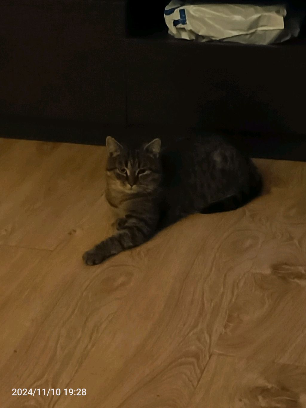 все и обо всем👀