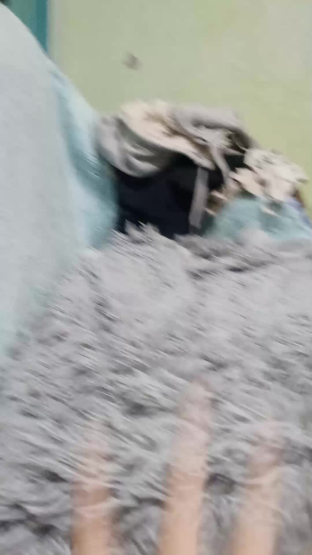 Подпешись пажалуйста🥺