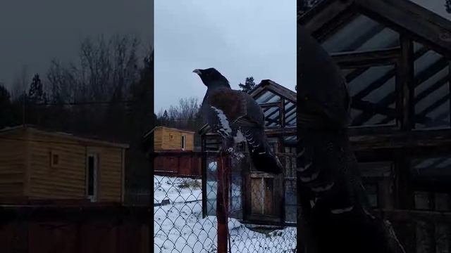 1000001337.mp4
