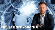 Александр Никитин . " Общая психология ". 1й урок