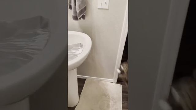 1000069196.mp4