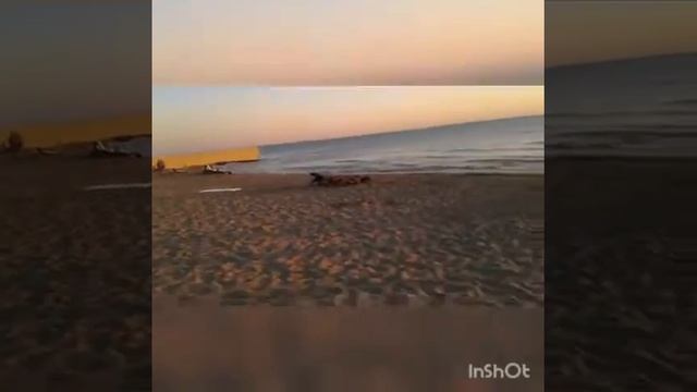 Каспийское море