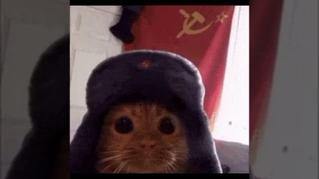 1000028648.mp4