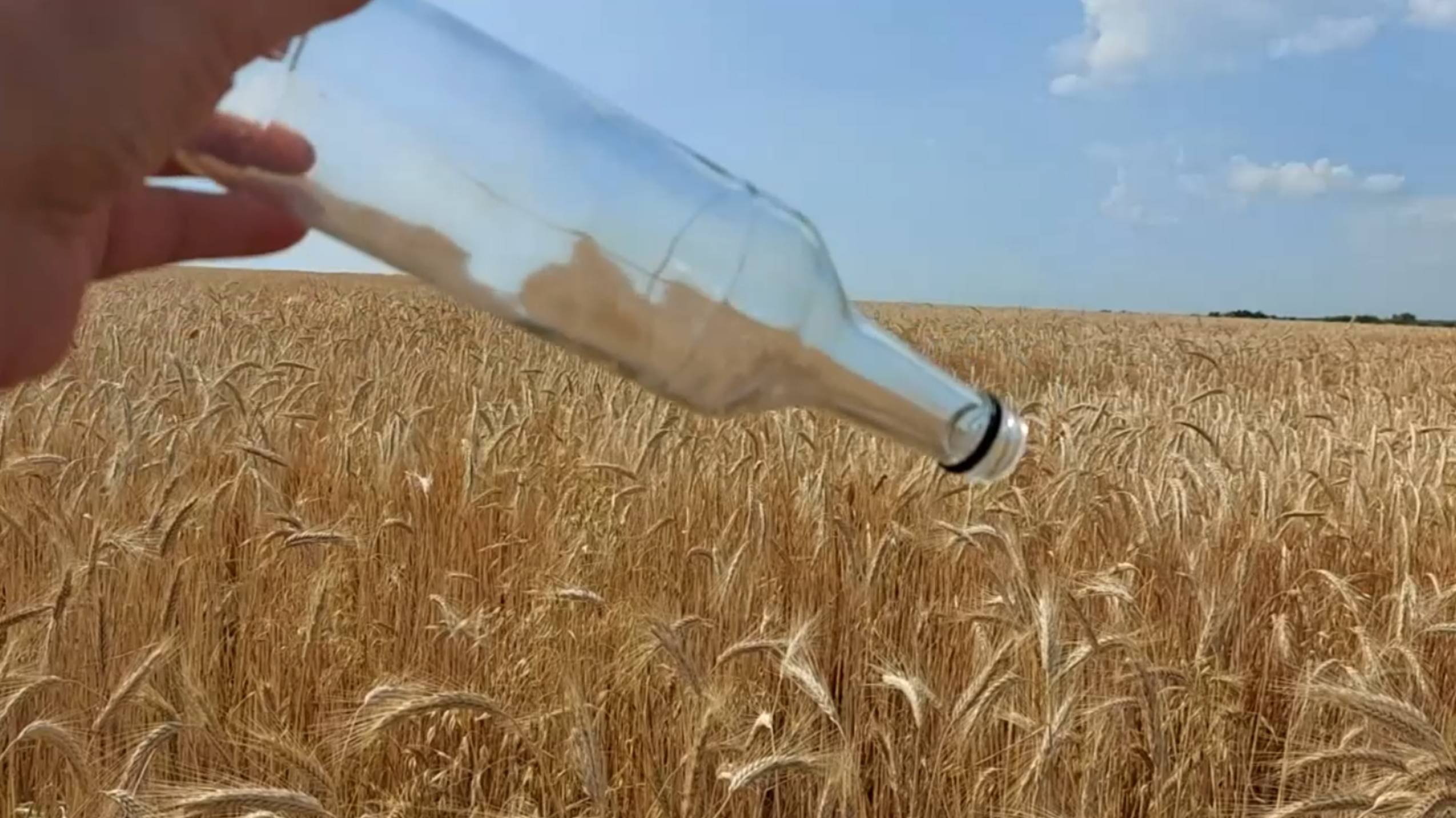 Возможно ли стеклянной бутылкой поджечь пшеничное поле. Провожу собственный эксперимент