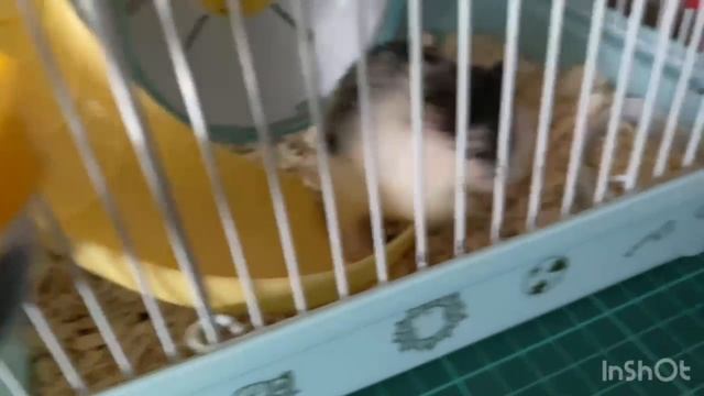 Кэти
