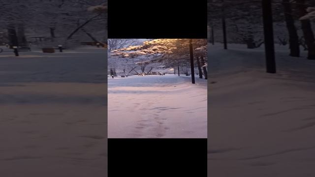 город Сосновоборск аллея  Ветеранов 22.12.24