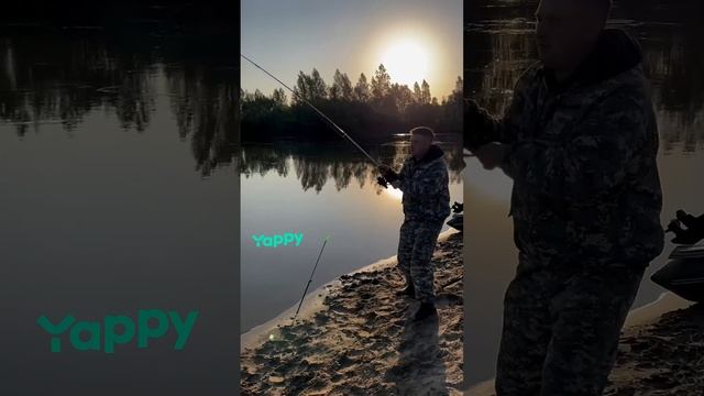 yappy_download_9285046fc7f44034b20efd32fbc7736e