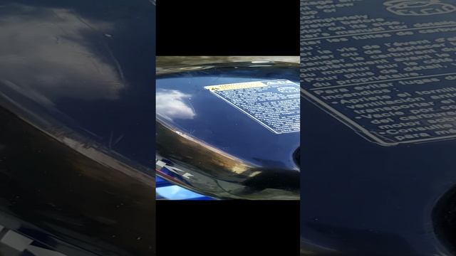 1000003646.mp4