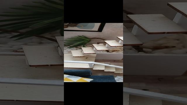 VID_20241222_133826.mp4