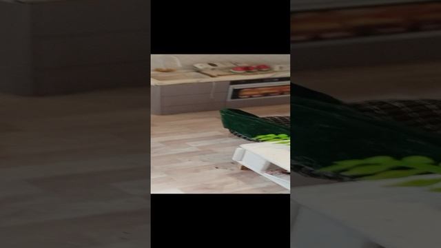 VID_20241222_133740.mp4