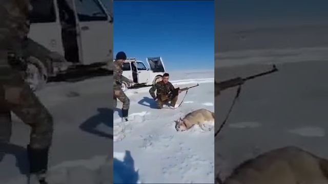 1000057444.mp4
