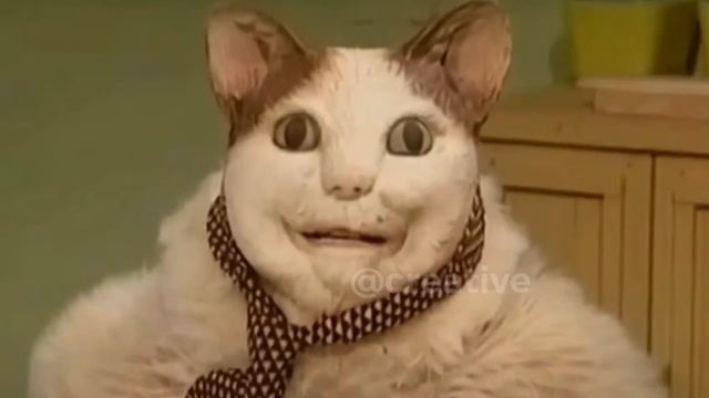 VID_20241208_141748_732.mp4