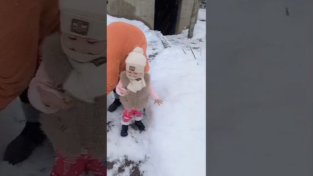 семя важна
