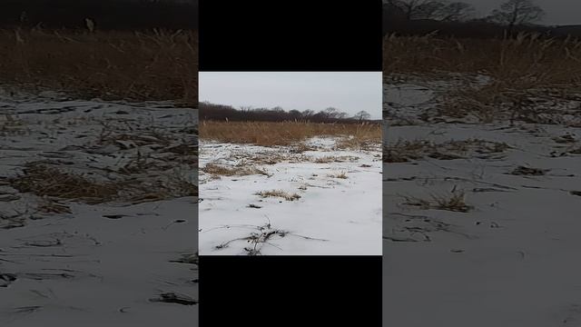 рыбалка в Удмуртии