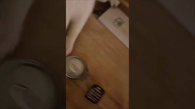 Штирлец! Отдай булку😂
