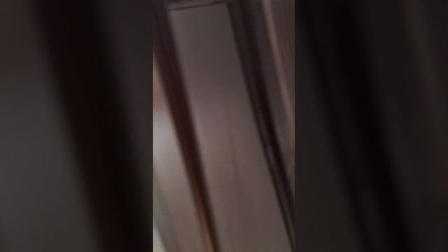 eshik rom taxta zakazga