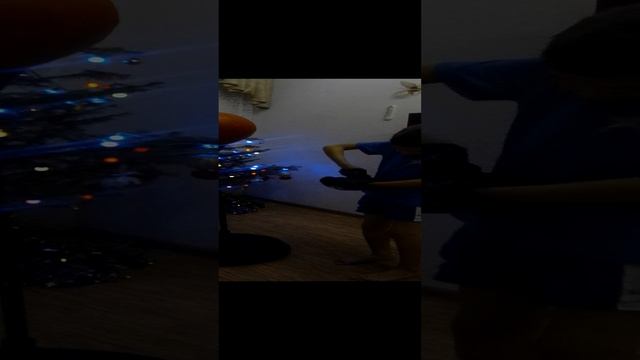 VID_20241222_192437.mp4