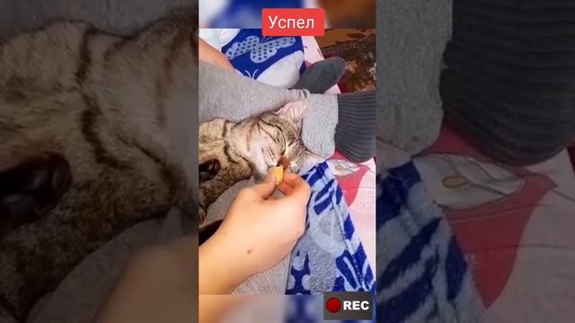 1000069198.mp4