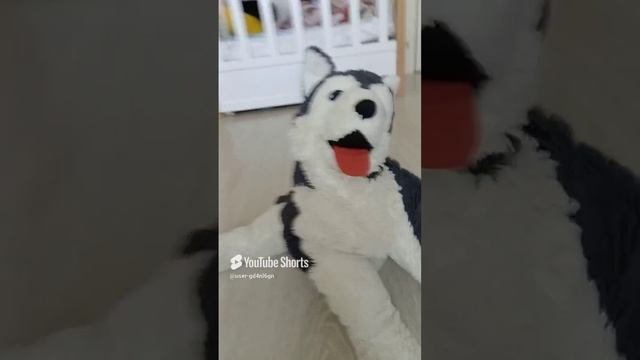 Приключения Тобика. 1 серия