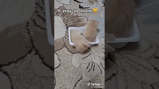 1000005163.mp4
